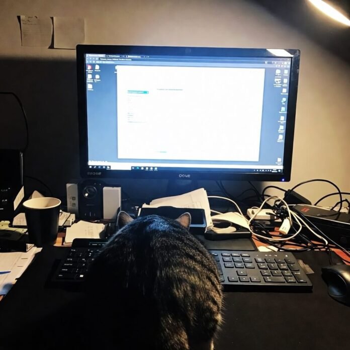 Cat butt blocking keyboard on messy desk at night